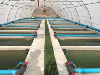 Catfish Tanks Fish Farming Aquaculture Solutions