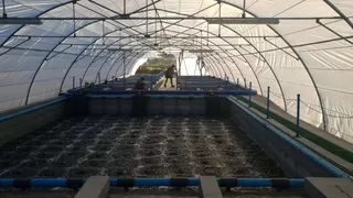 Fish Farming Aquaculture Solutions System