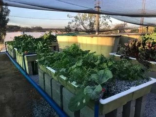 Aquaponics Solutions Living Larder South Africa