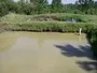 Earth Ponds To Farm Catfish In Uganda